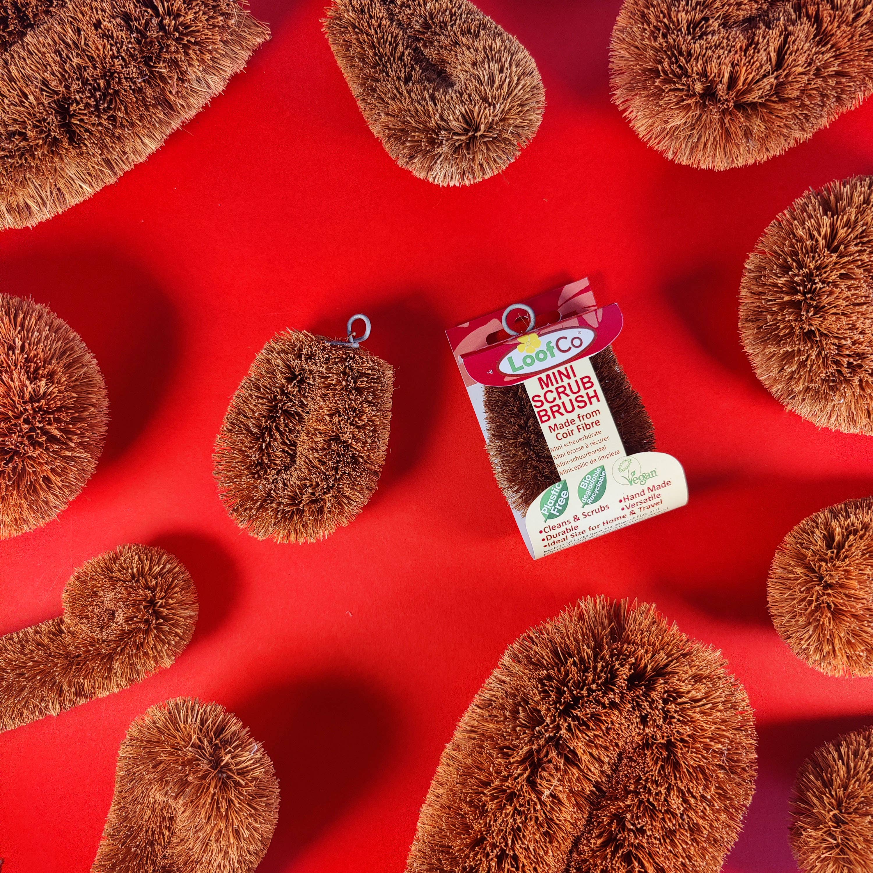 LoofCo - Loofahs & Coconut Brushes - Venta al por mayor Cepillos de limpieza - Cepillo pequeño para fregar de fibra natural de cáscara de coco3