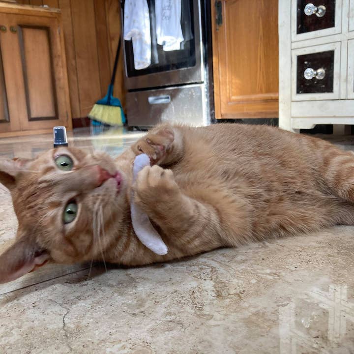 Smokey's Stash - Wholesale Pet toy – Cat - Smokey's Stash Catnip Pre Rolled Joints (5 Pack)3