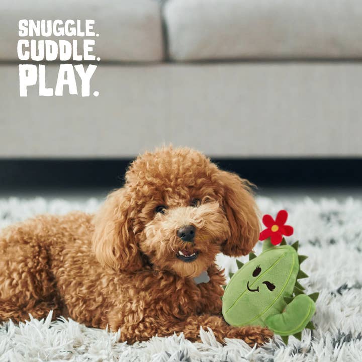 SnugArooz – Großhandel Plüschtier – Hund – Hundespielzeug Chloe der Kaktus