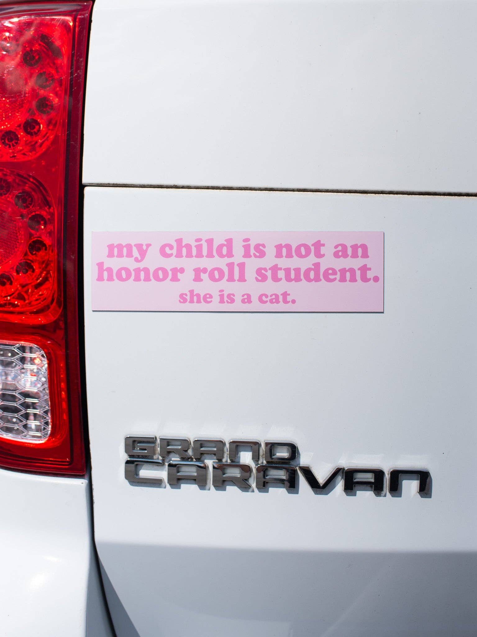 A Shop of Things - Wholesale Car Decorative Charm - Women's - Honor Roll Cat Bumper Magnet- Pink3