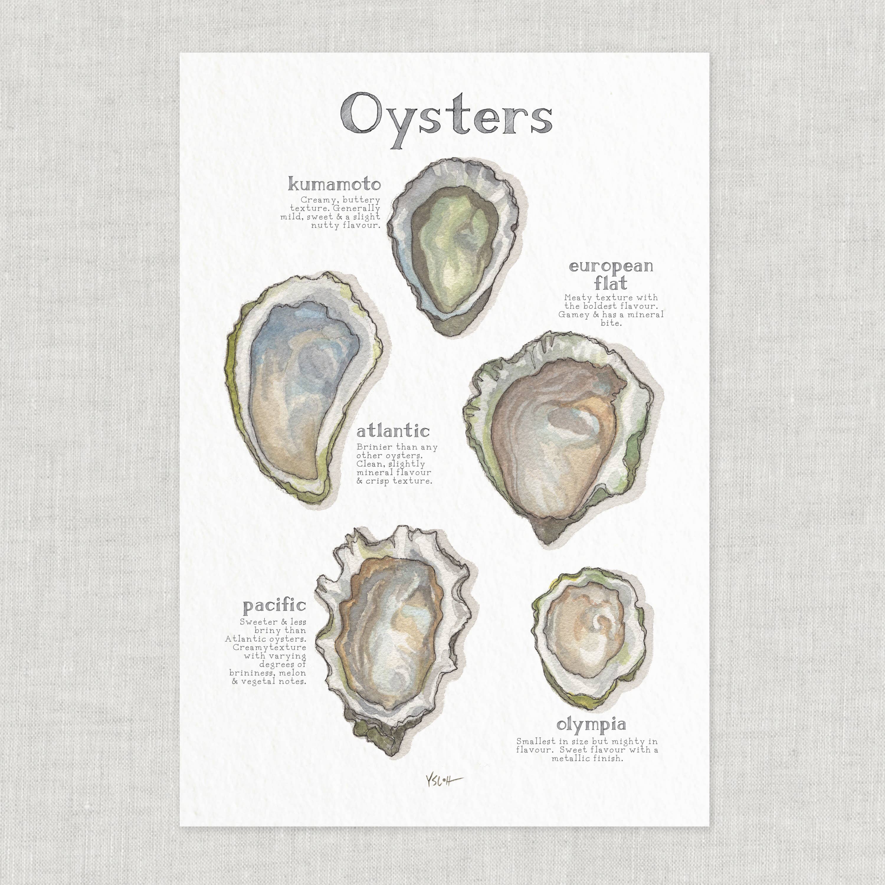 Yeesan Loh - Wholesale Poster - Poster / Oysters2