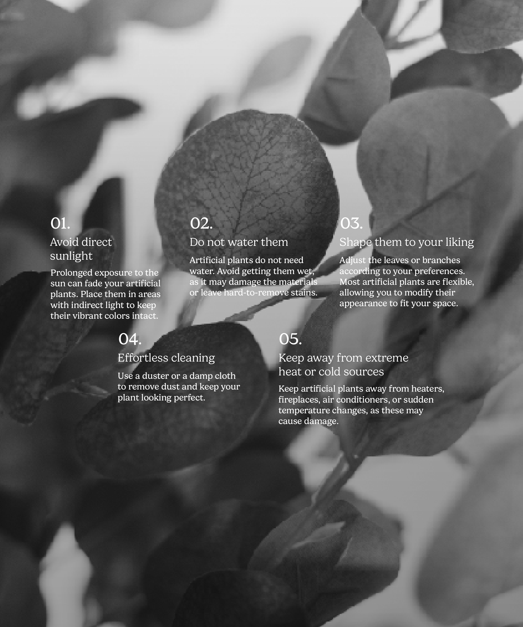 Maia Shop - Vente Plantes artificielles - Eucalyptus Artificiel 180 cm6