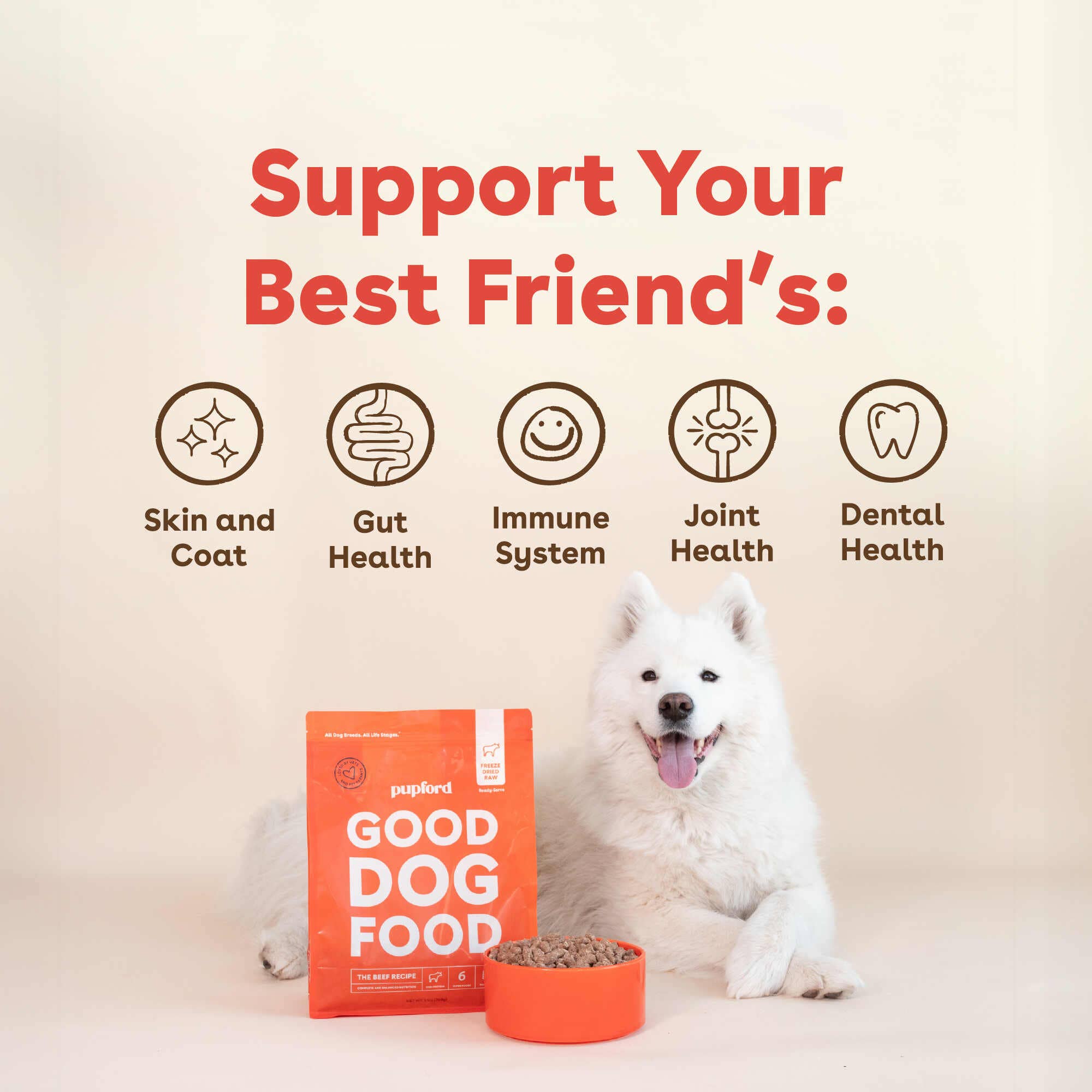 Pupford - Vente Nourriture – chien - Nourriture pour chiens crue lyophilisée - Recette au bœuf5