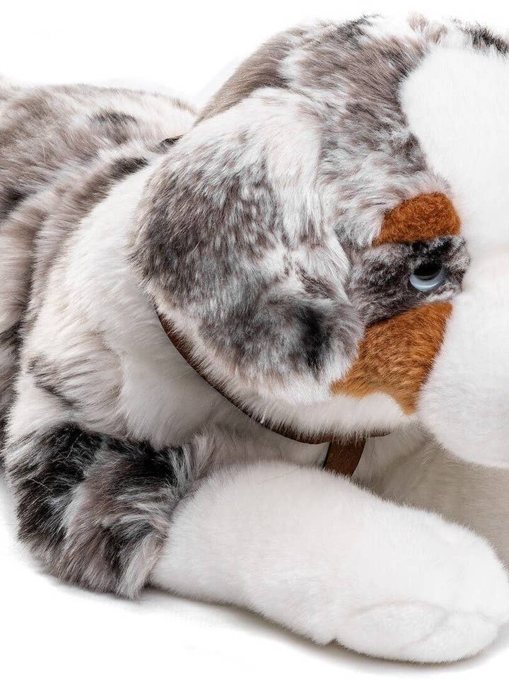 Australian Shepherd (with harness) cuddle/plush toy for wholesale by Uni Toys
