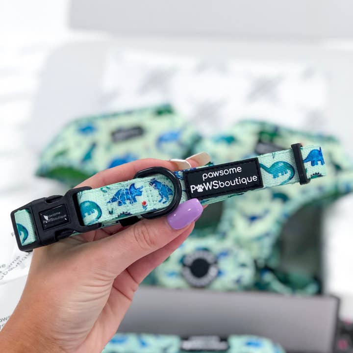 Pawsome Paws - Wholesale Pet Collar - Dog - Collar – Dinky Dino