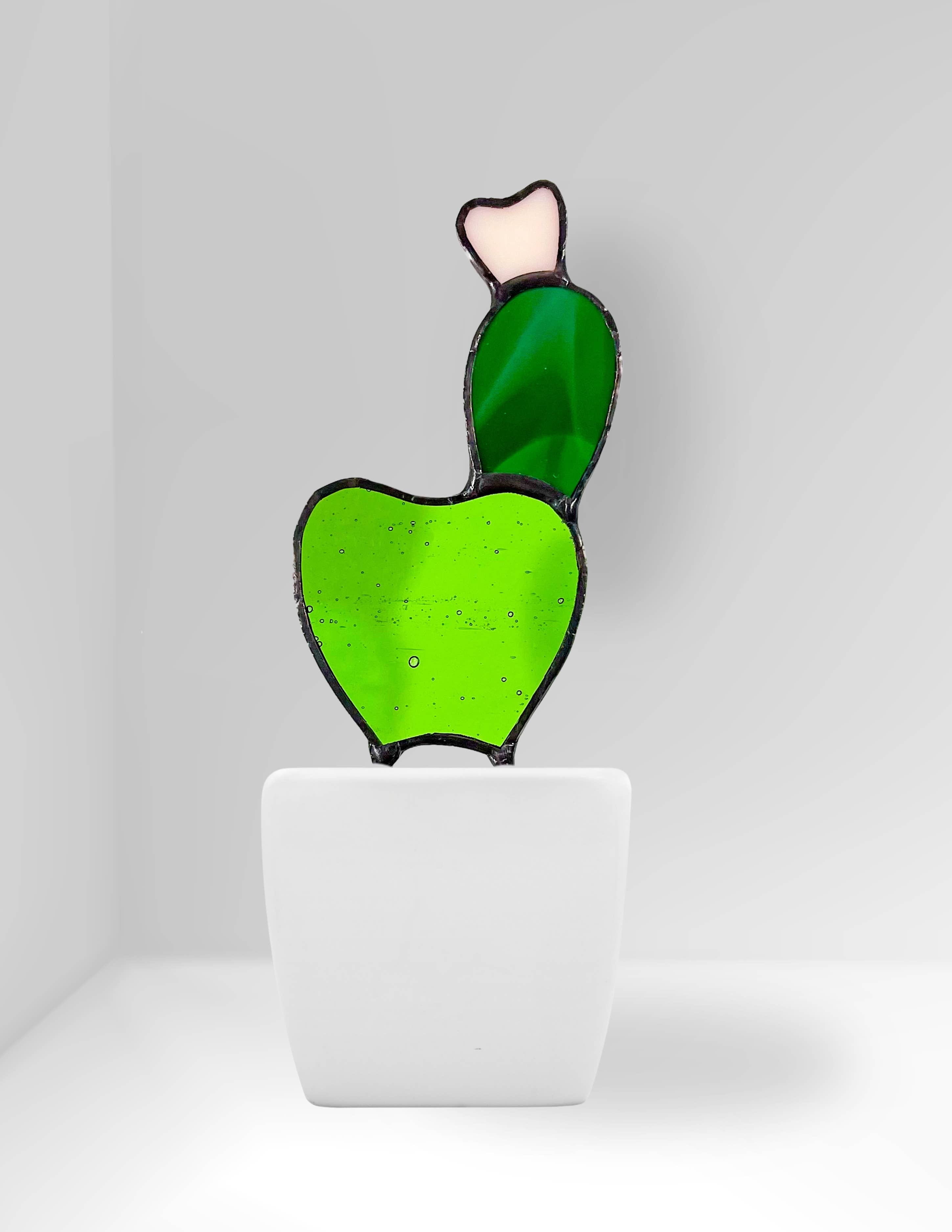 Samara Designs Studio – wholesale Dekorativt bordsobjekt – Bebis Teckly Päron Glas Kaktus14