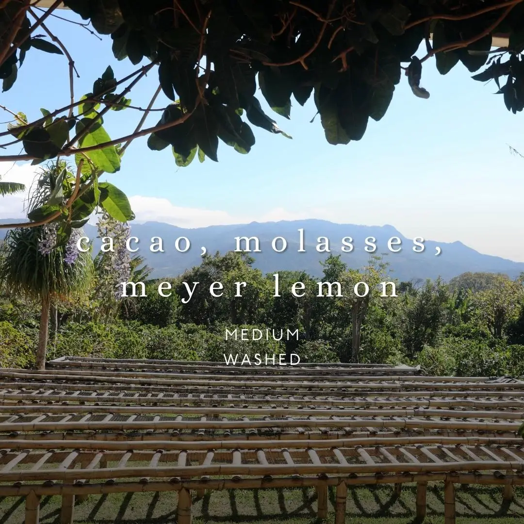 No. Six Depot - Vendita all'ingrosso Caffè in grani - Berkshire Sky Blend Whole Bean caffè 12 oz1