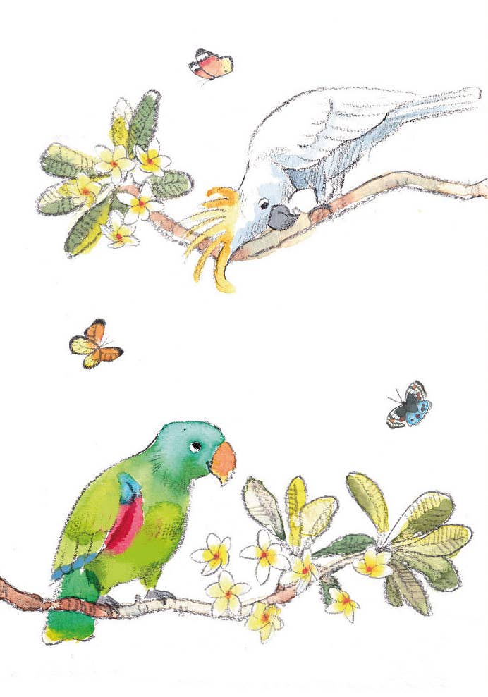 Popshots Studios - Wholesale Everyday Greeting Card - Paper shed parrots0