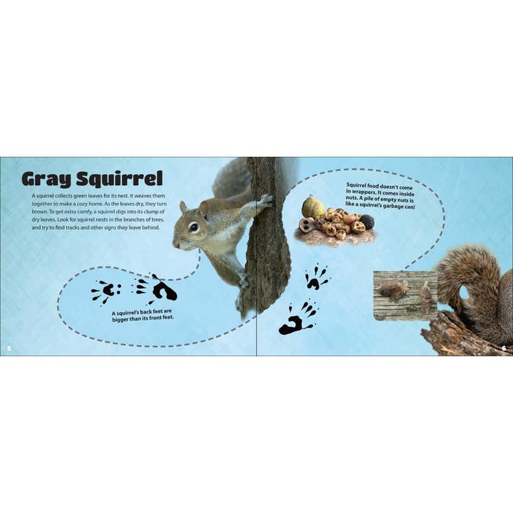 AdventureKEEN - Wholesale Nature & Outdoors - Critter Litter2