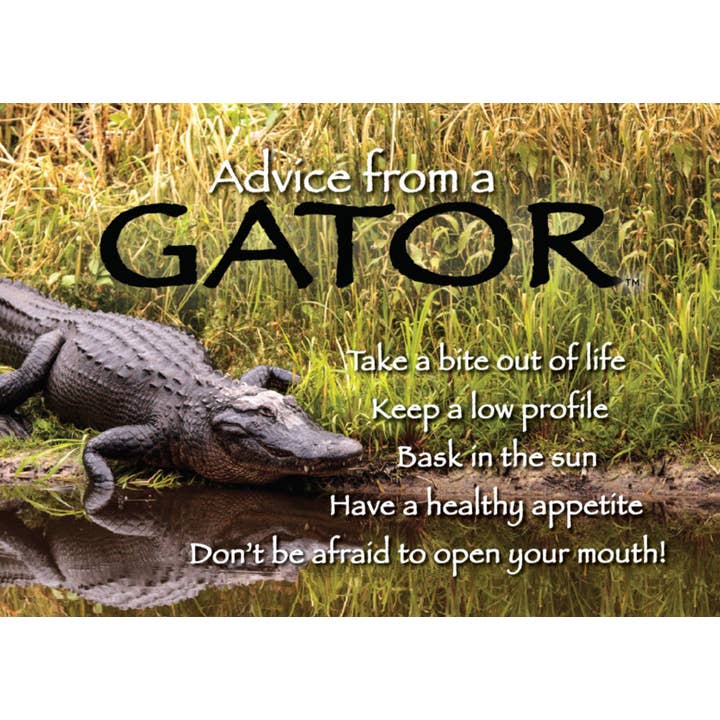 Conseils d'un aimant Jumbo Gator pour la vente par Advice for Life by Your True Nature