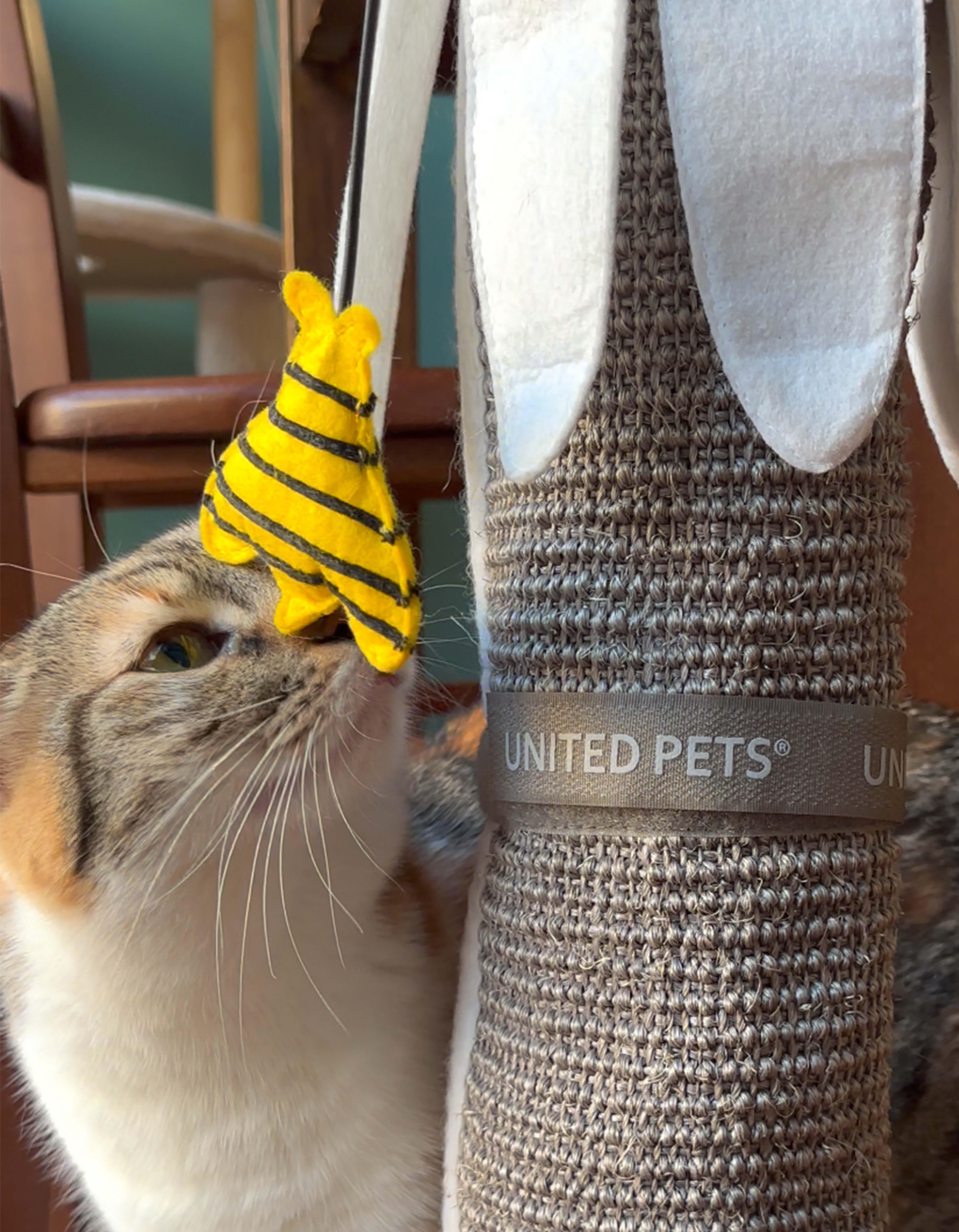 United Pets - Wholesale Pet Scratcher - Cat - Daisy-shaped table leg scratcher for cats4