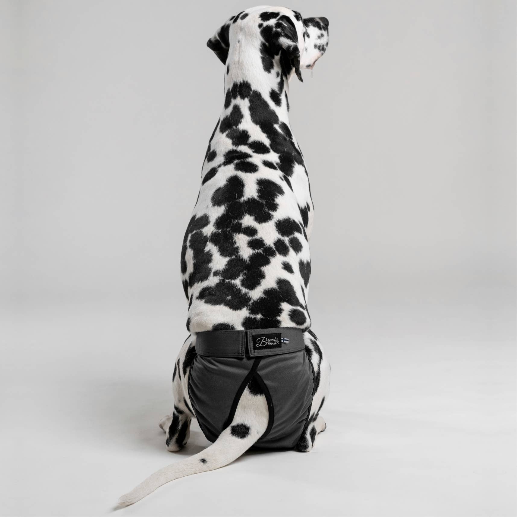 FINNERO - Wholesale Pet Diaper - Dog - FINNERO BRENDA Dog Hygiene pants, 3 colors, Washable Diaper22