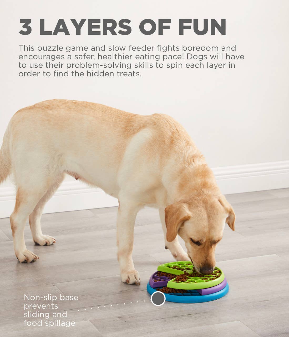 Pet Palette Distribution - Wholesale Pet Toy - Dog - Nina Ottosson Lickin' Layers Interactive Dog Puzzle Level 21