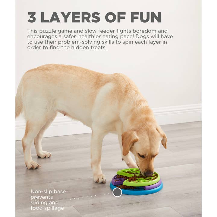 Pet Palette Distribution - Wholesale Pet Toy - Dog - Nina Ottosson Lickin' Layers Interactive Dog Puzzle Level 21