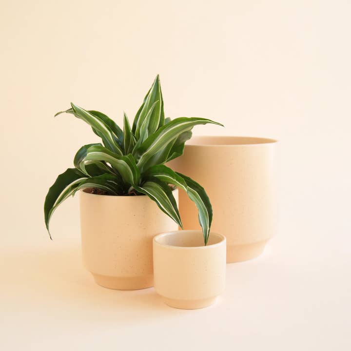 Jungle Club - Wholesale Plant Pot - Parker Planter | Vanilla Speckle
