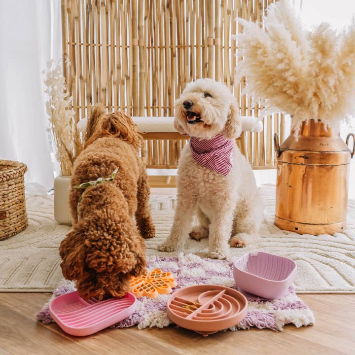 Babelle For Dogs - Wholesale Pet Bowl - Cat/Dog - Lickbowl - Pink - enrichment for dogs5