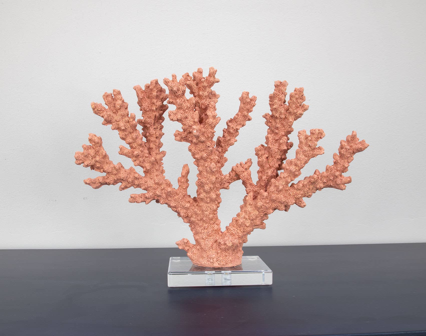 Lillian Home - Wholesale Decorative Tabletop Object - Coral Burst5