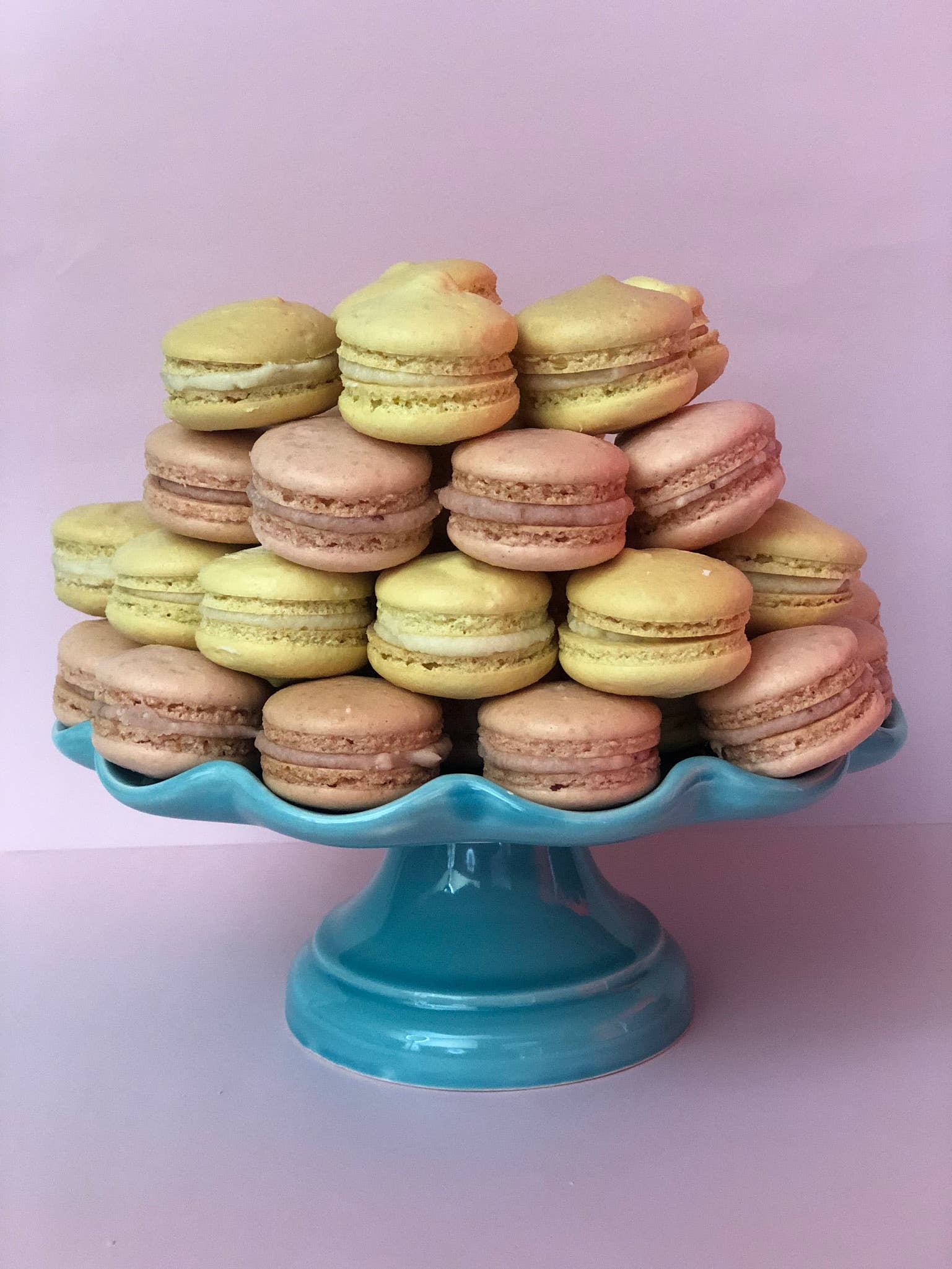 Eat This Yum - Wholesale Jam/Jelly - Food Service Size5