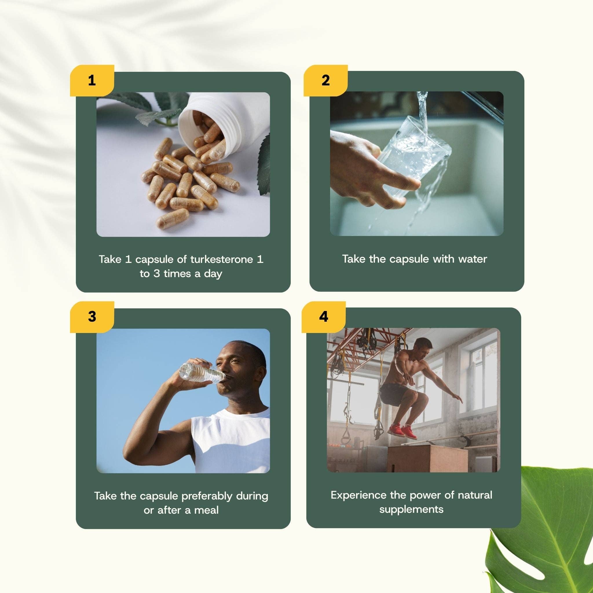 Cupplement b.v. - Wholesale Oral Supplement/Vitamin - Turkesterone Capsules 500 mg  60 Capsules8