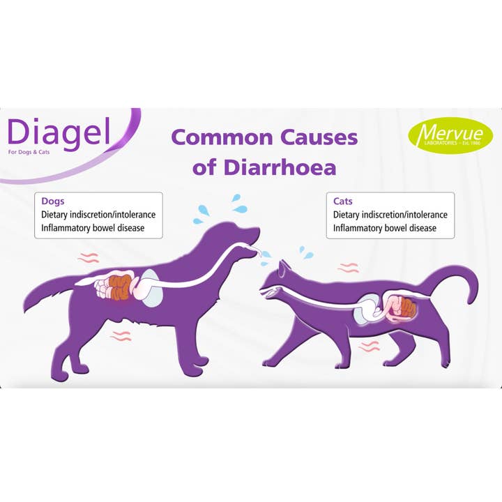 OurPetsLife - Wholesale Pet supplement – Dog - Diagel Digestive Support for Large Dogs6