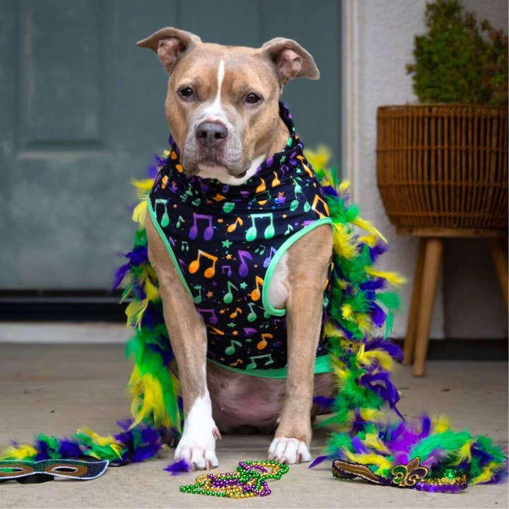 Bayou Beats Muscle Tee for wholesale by Pittie Clothing Co.