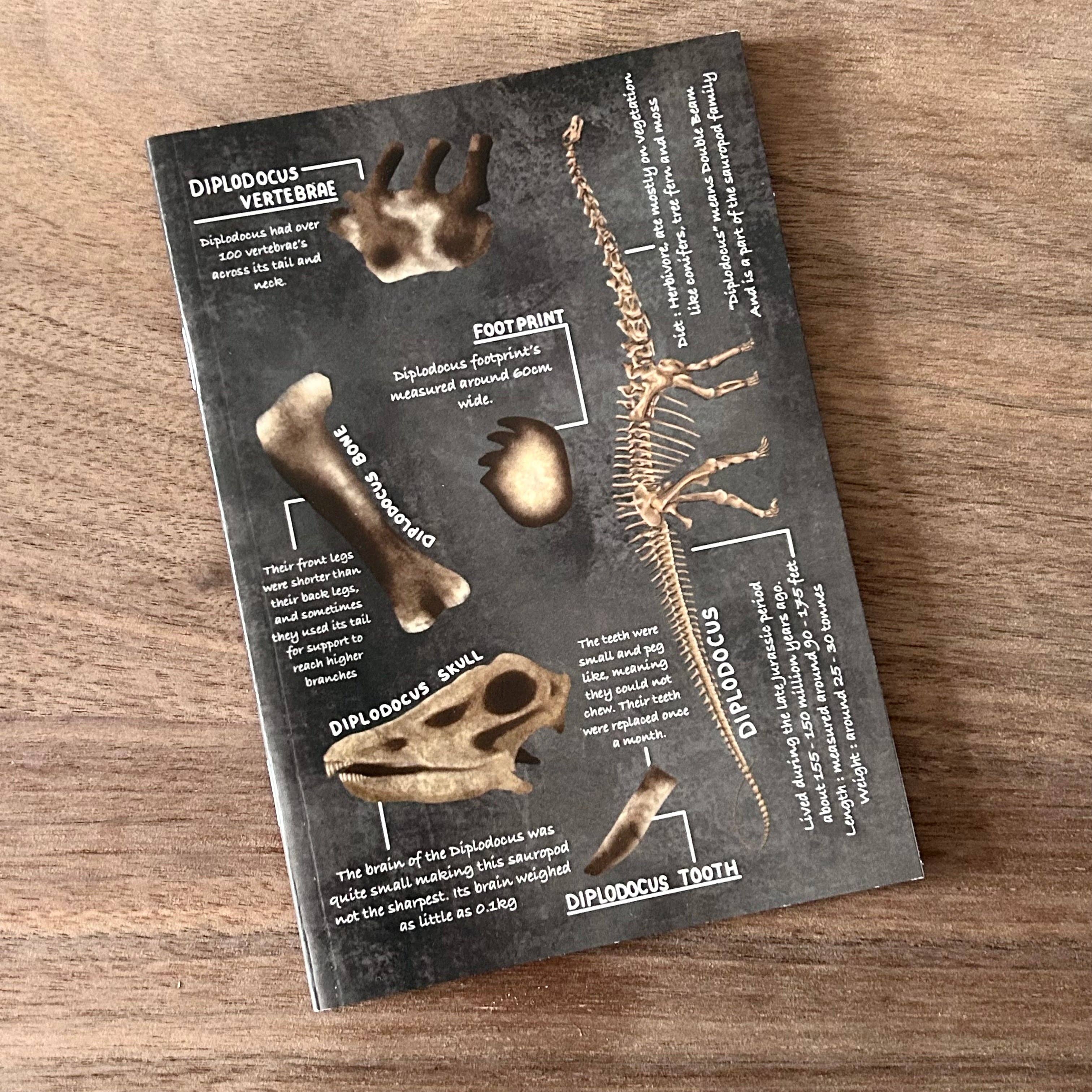 Write Your Story – wholesale Notebook – A6 Diplodocus Notebook0