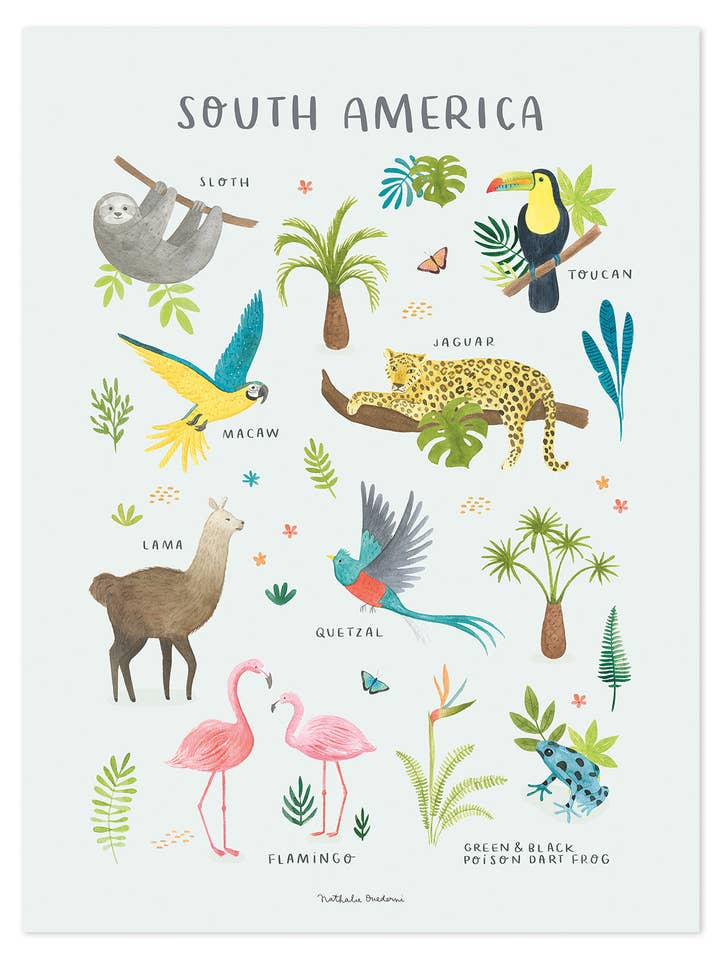 LIVING EARTH - Affiche sans cadre animaux South America (P0333) para venta al por mayor de LILIPINSO