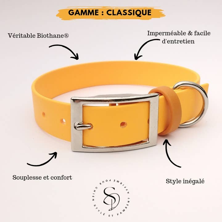Stylidog - Wholesale Pet Collar - Dog - Apricot, Biothane dog collar handmade in France