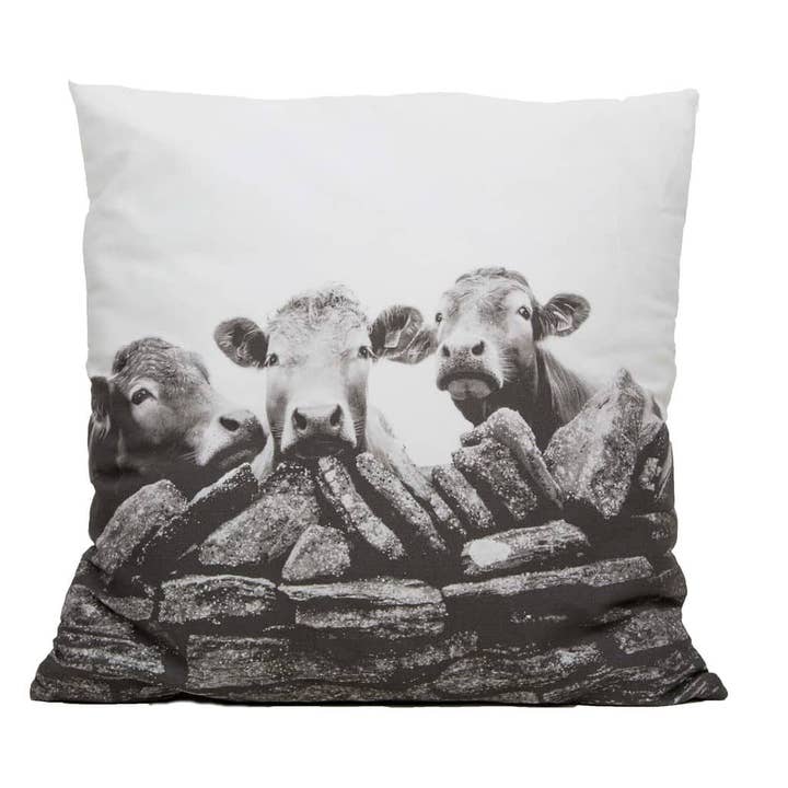 The Good, The Bad & The Ugly - Cojín - Empaquetado plano para venta al por mayor de Kelly Hood Art & Design Studio