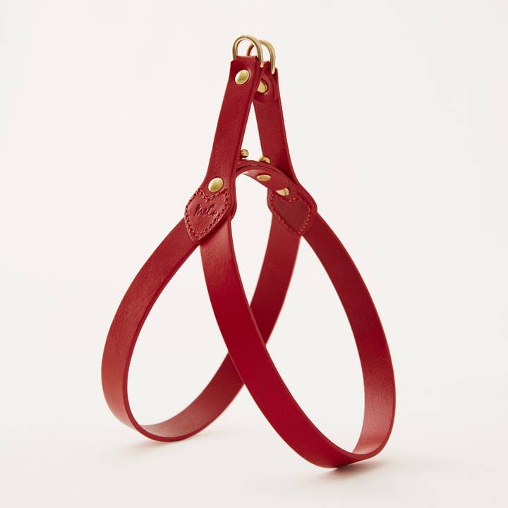 Muso & Co – Großhandel Haustiergeschirr – Hund – Klassisches Geschirr aus pflanzlich gegerbtem Leder26