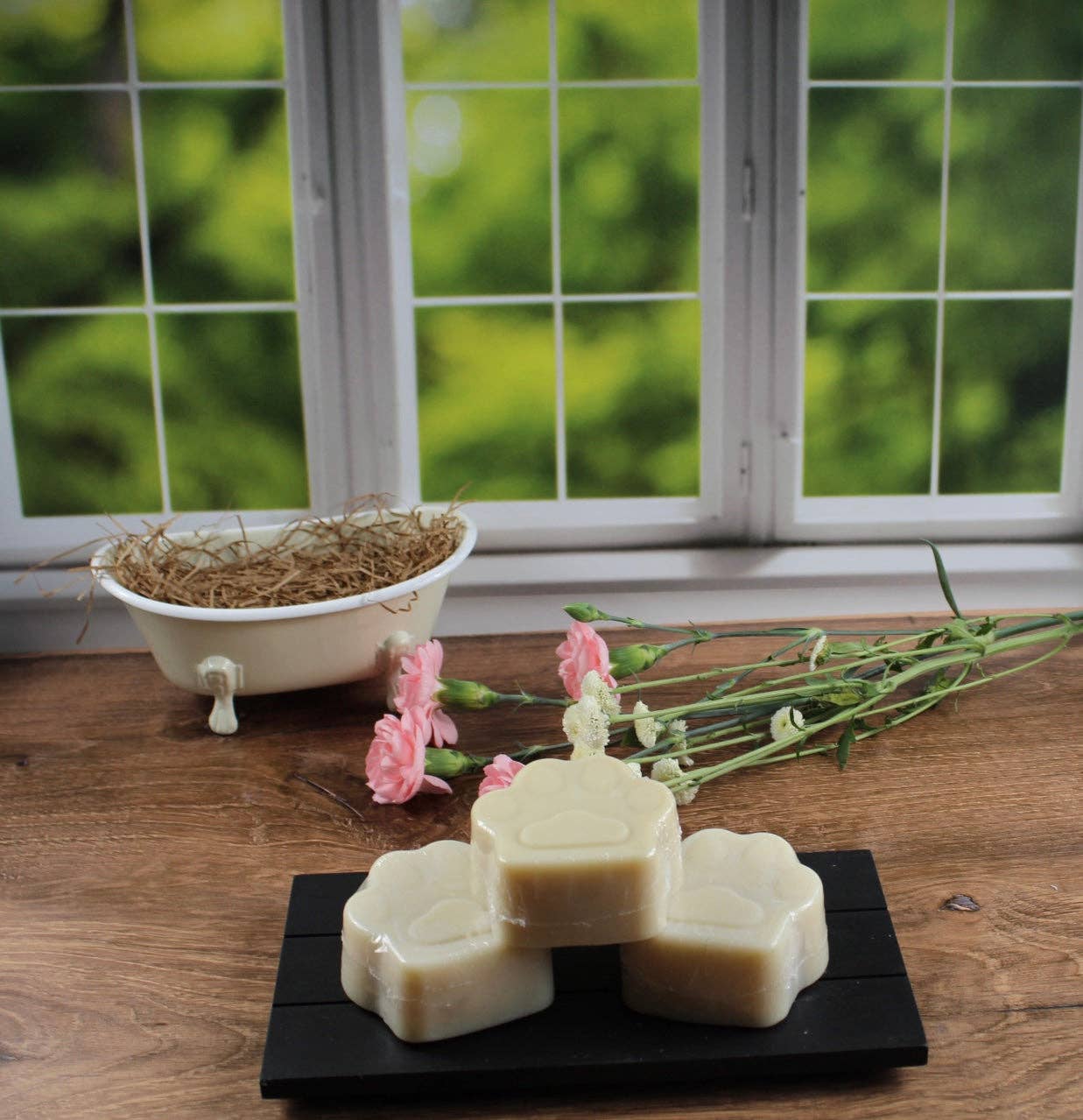 Wicked Bubbles LLC - Wholesale Pet Soap - Dog - Clean Paws - Woof approved17