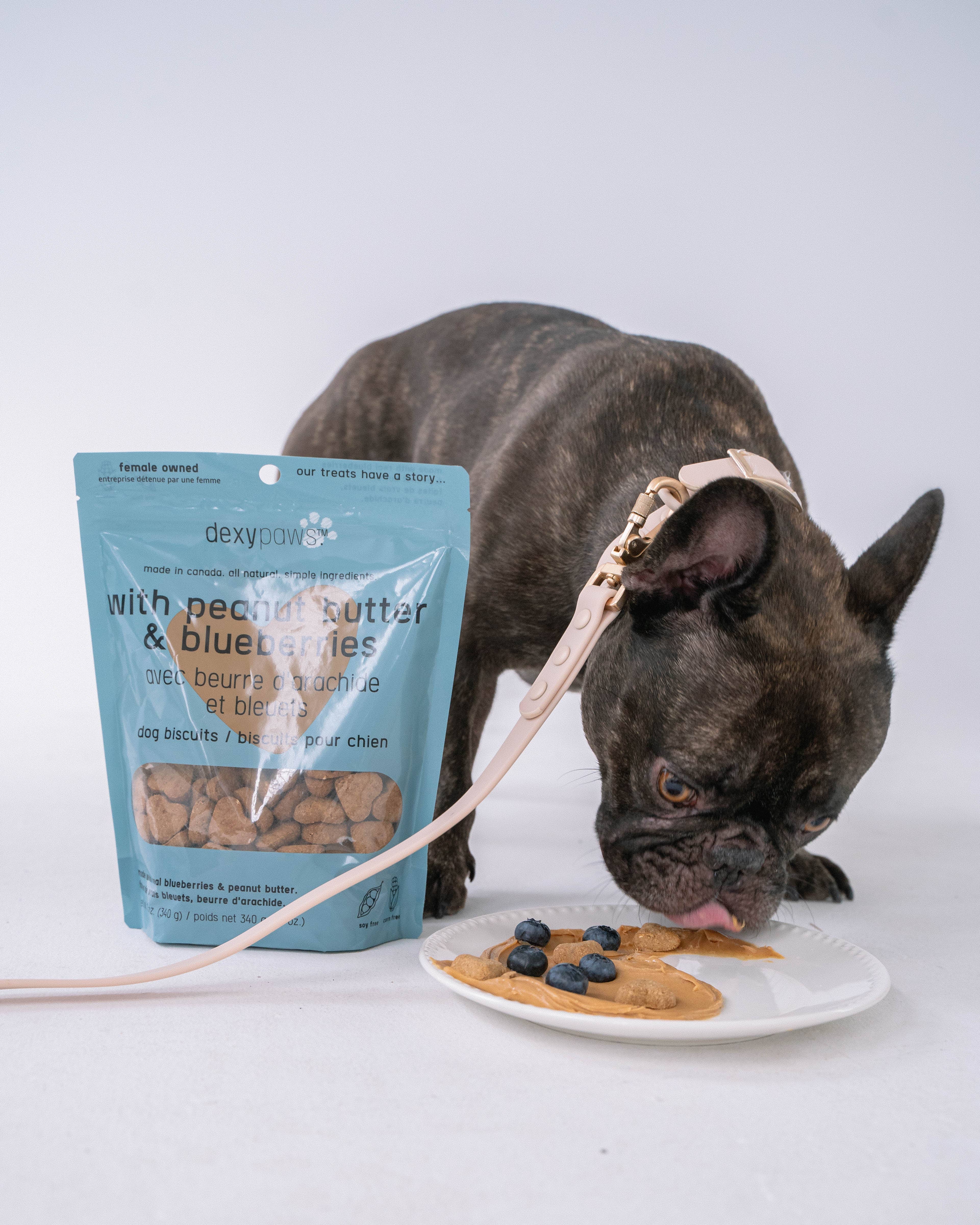 dexypaws - Vendita all'ingrosso Snack - Cani - Dolcetti per cani al burro di arachidi e mirtilli5