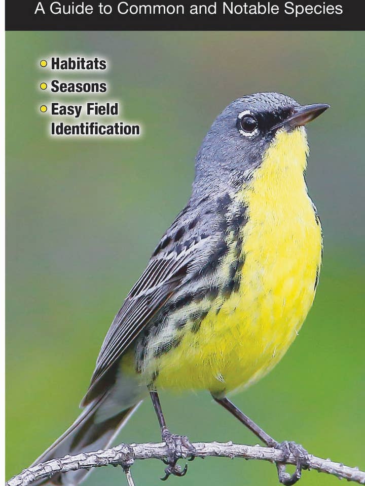 Birds of Michigan for wholesale by Quick Reference Publishing, Inc