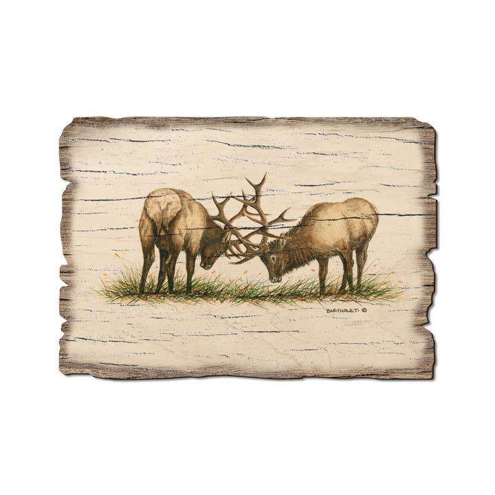 The Elk Battle - Wood Rustic Edge Postcards & Magnets for wholesale by DaydreamHQ