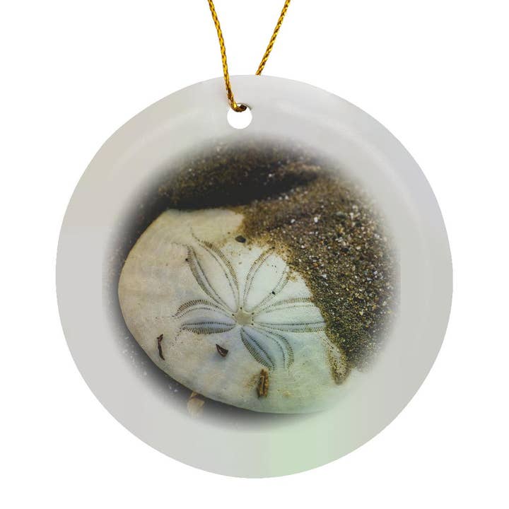 3dRose - Wholesale Ornament - 3dRose, California, Morro Bay. Sand dollar on Morro Strand State Beach., Ornament