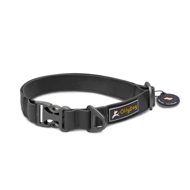 OllyDog - Wholesale Pet Collar - Dog - Tilden Waterproof Collar1