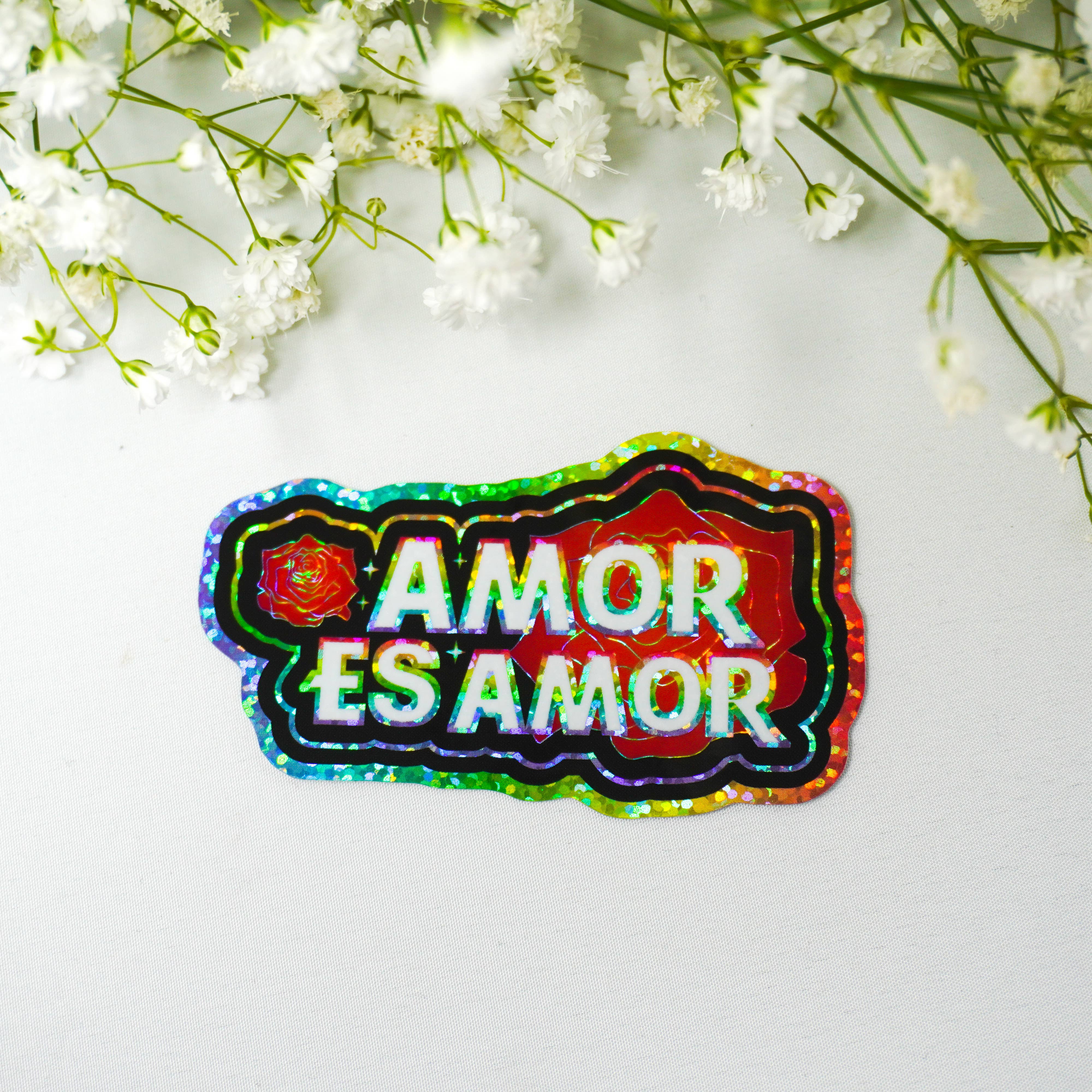 PARTIMEWORKS - Wholesale Sticker - Amor es Amor 3" Sticker9