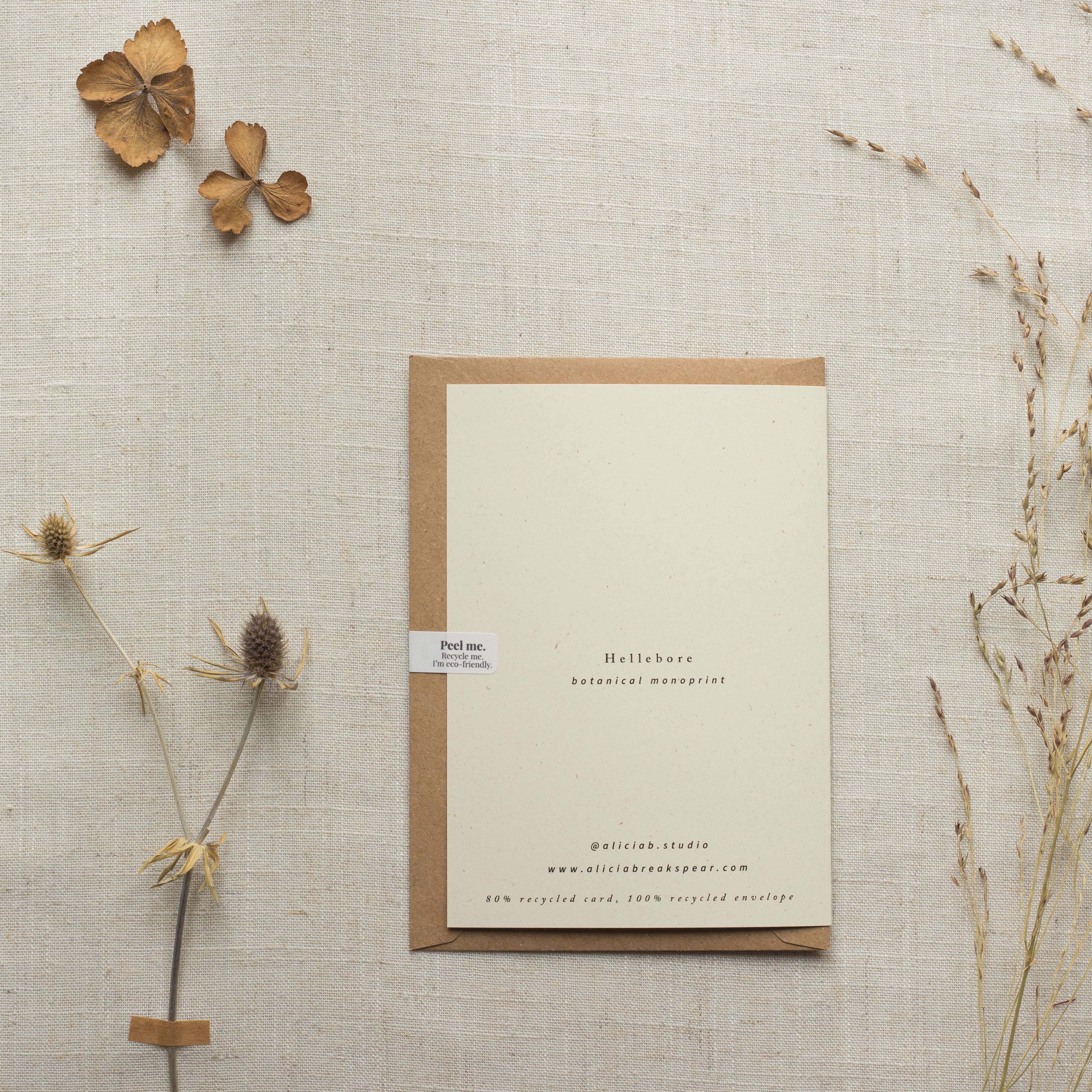 Alicia Breakspear - Wholesale Everyday Greeting Card - Hellebore Flower Greeting Card A6 Recycled Card 6