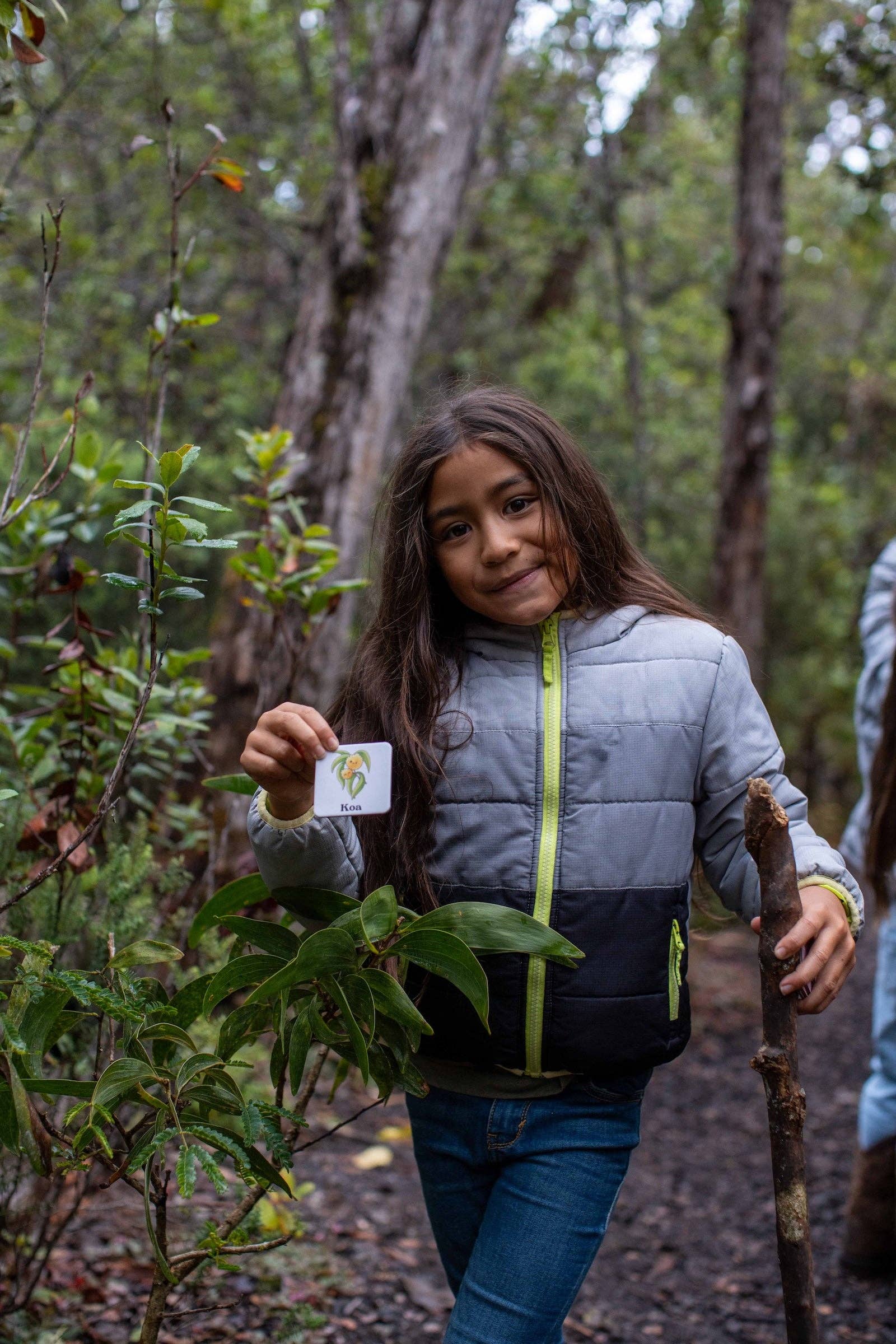 The Keiki Dept - Wholesale Brain Game - Kids - The Memory Game: Mauna Kea7