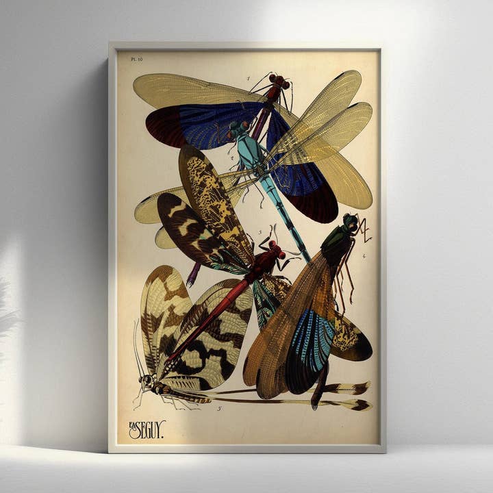 Vintage Damselfly Larousse Illustration Insect Poster Decor pour la vente par Vintage Wall Graphics
