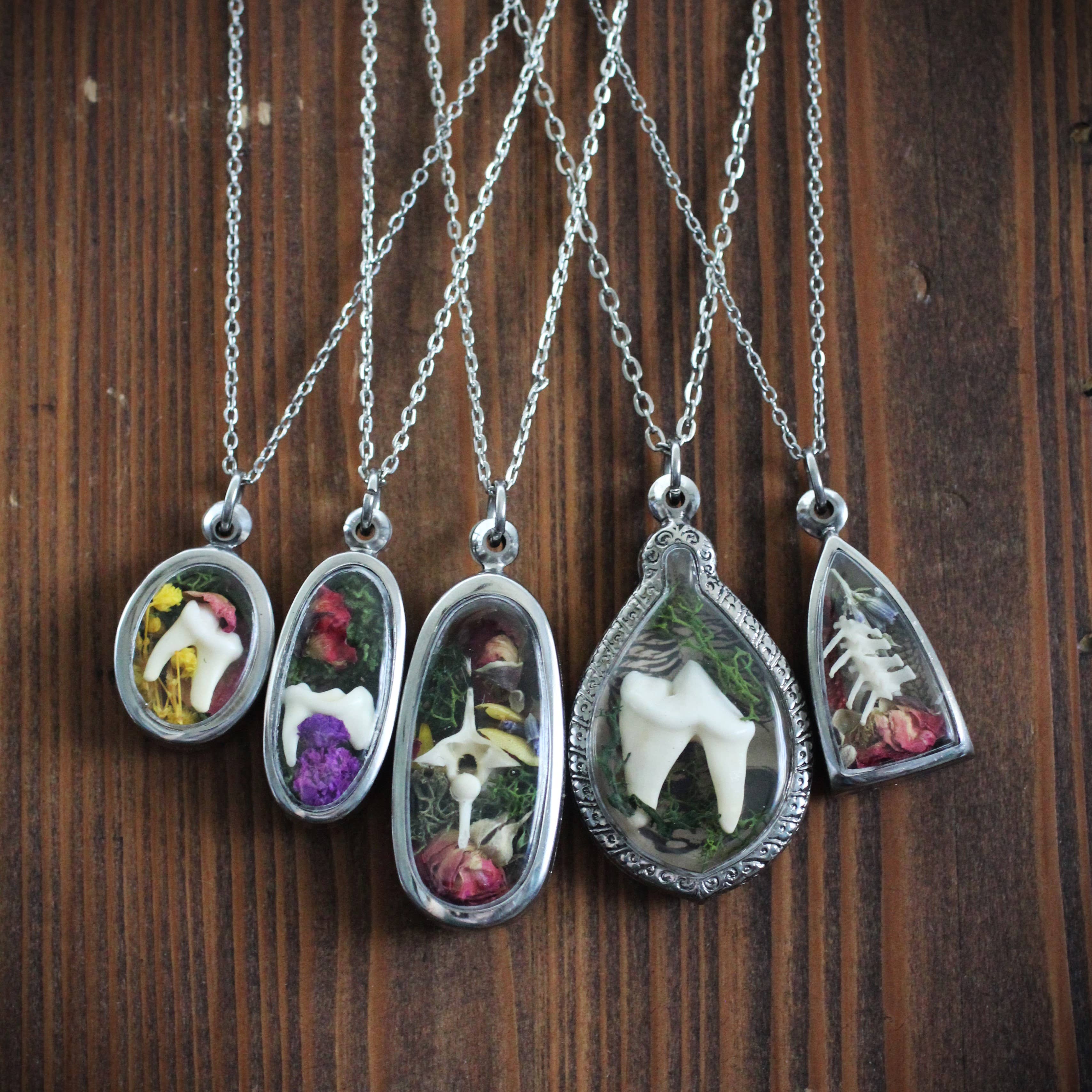 Kitty Bomb Curios - Wholesale Pendant/Charm Necklace - Bone Lockets oddity reliquary tooth window jewelry necklace11