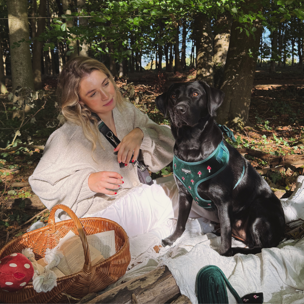 Cocopup London - Wholesale Pet Harness - Dog - Toadstool Trails Adjustable Neck HARNESS6