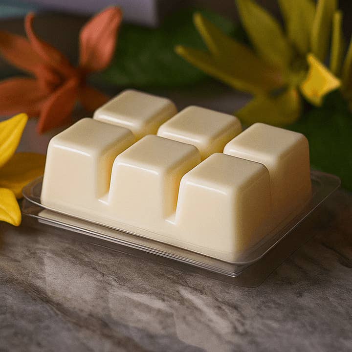 Fondants de cire de soja parfumés • Non toxiques • Parfum d'intérieur élégant pour la vente par Votive
