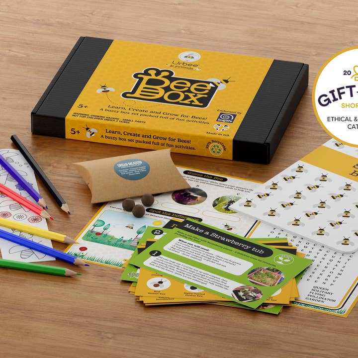 Urbee - Wholesale Learning Cards - Kids & Baby - Bee Box - available UK only