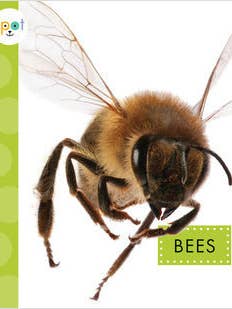 Abeilles pour la vente par Amicus Publishing