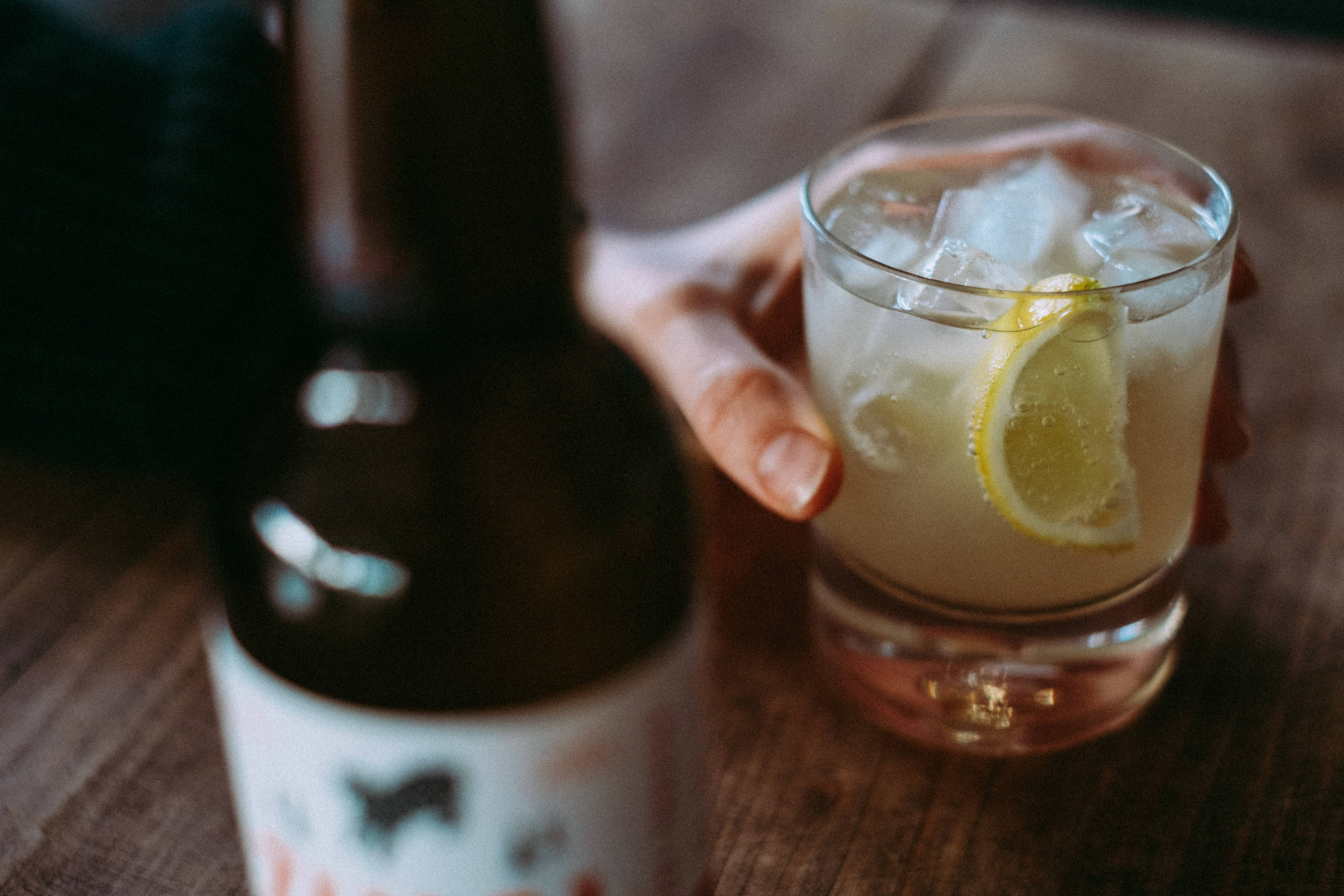 ZINGI BEAR - Wholesale Kombucha - Zingi Bear Organic Ginger Switchel | Alcohol-Free Soft Drink6