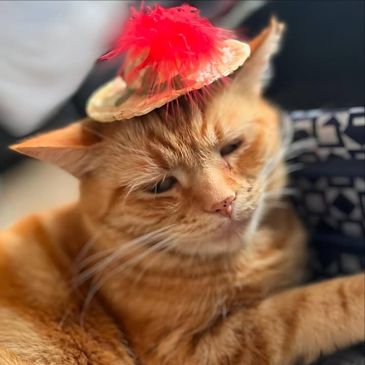 WufWuf - Wholesale Pet Toy - Cat - World of Pets Straw Hat Cat Toy with Catnip