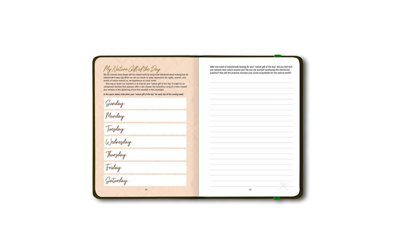 Simon & Schuster - Wholesale Journal/Diary - Grounded by Patricia H. Hasbach6