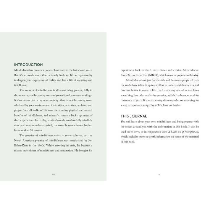 Hachette Book Group - Wholesale Journal/Diary - Little Bit of Mindfulness Guided Journal1