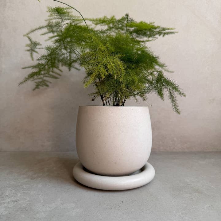 Minimal Loot Design – wholesale Kruka – Betongkruka med dränering, söt växtkruka, bubbelplanterare, dekorativ cementkruka, minimalistisk kruka med fat, nordisk, tjock kruka